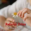 Ankaralı Ertan - Kocamışsın Kocamış - Single